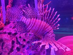 -沈阳海洋探索中心