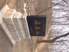 具丘山-禹城市禹王亭博物馆
