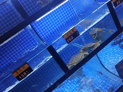 水产区-千岛湖小鱼儿·淳安匠心农家菜