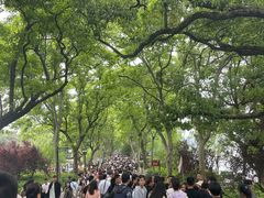 -西湖外事游船(花港观鱼码头)