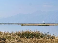 -敕勒川草原文化旅游区