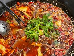 -雀蓝川菜(奥体广场店)