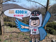 -南京老山国家森林公园