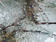 -班赞海鲜市场