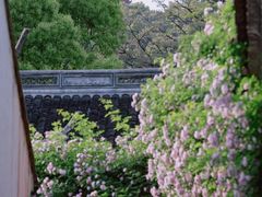 -惠山古镇·寄畅园