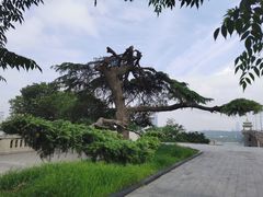 -武汉长江大桥