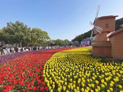 -苏州上方山国家森林公园