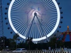 -海合安武汉极地海洋公园