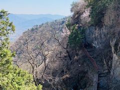 -北京鹫峰国家森林公园