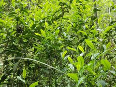 -艾溪湖湿地公园