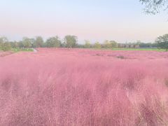 -汉长安城未央宫国家考古遗址公园