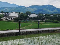 -黄牛肉馆·皖南土菜