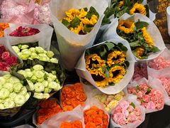 -循礼门鲜花花市(武汉循礼门店)