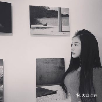 「安藤忠雄：挑战 Tadao Ando: Endea