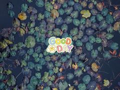 -野鸭湖国家湿地公园