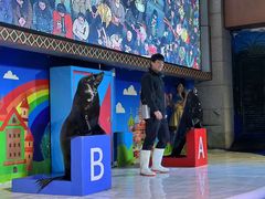 -成都浩海立方海洋公园