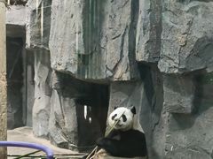 -栾川竹海野生动物园