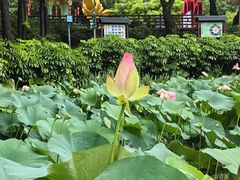 -广州莲花山旅游区