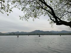 -西湖外事游船(花港观鱼码头)