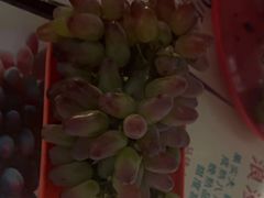 -马陆小张葡萄园农家乐