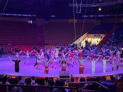 -俄罗斯国家大马戏团