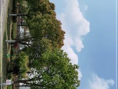 -龙寺生态园