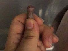 -宠颐生中康贝怡动物医院