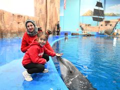 -华夏文旅海洋公园