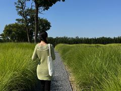 -汉长安城未央宫国家考古遗址公园