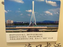 -武汉知音号