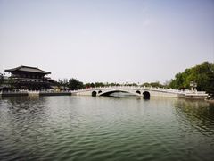 -唐御宴•御宴宫•唐代菜点(芙蓉西路店)