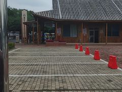 -大湾区中央湿地公园