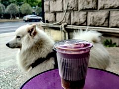 -HANA COFFEE(长寿路店)