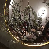 太疯狂点赞：抹茶奶黄酥，实在太好吃了