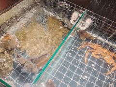 -江户前日本料理(瑞诗酒店店)