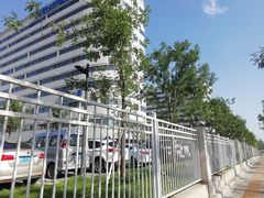 -首都医科大学附属北京天坛医院