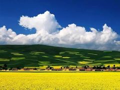 -青海湖国家重点风景名胜区