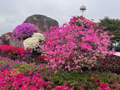 -厦门园林博览苑