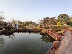 -成飞公园