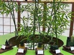 -龙湖杭州滨江天街