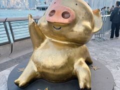-星光大道