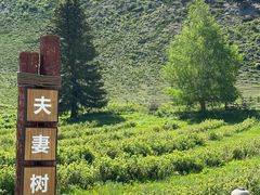 -可可托海景区