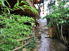 -碧峰峡风景区