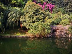 -圣爵菲斯大酒店(长沙世界之窗店)