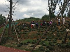 -白鹭湾湿地公园