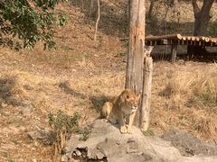 -宁波野生动物园