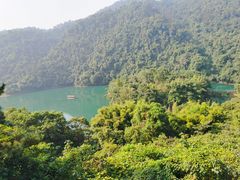 -鼎湖山风景区