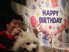 -百好乐宠物友好餐厅(朝外大街店)