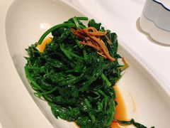 南京菊花脑-民国红公馆·秦淮八艳(夫子庙店)