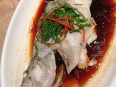 -锦粤宫·融合粤菜(上海金沙江店)